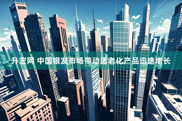 升宏网 中国银发市场带动适老化产品迅速增长