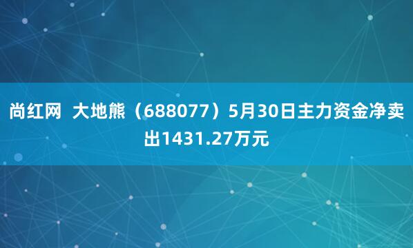 尚红网  大地熊（688077）5月30日主力资金净卖出1431.27万元