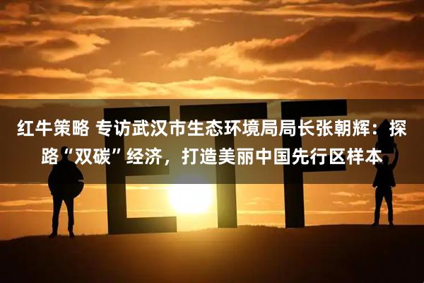 红牛策略 专访武汉市生态环境局局长张朝辉：探路“双碳”经济，打造美丽中国先行区样本