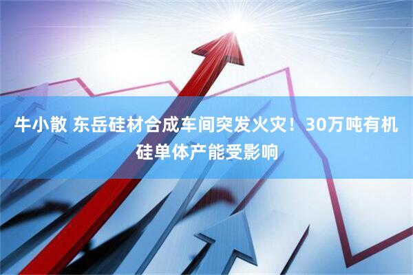 牛小散 东岳硅材合成车间突发火灾！30万吨有机硅单体产能受影响