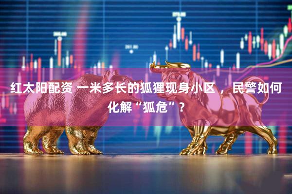 红太阳配资 一米多长的狐狸现身小区 ，民警如何化解“狐危”？