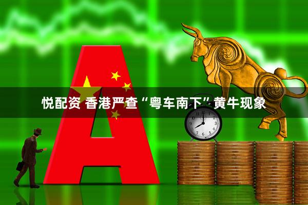 悦配资 香港严查“粤车南下”黄牛现象