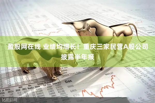 盈股网在线 业绩均增长！重庆三家民营A股公司披露半年报