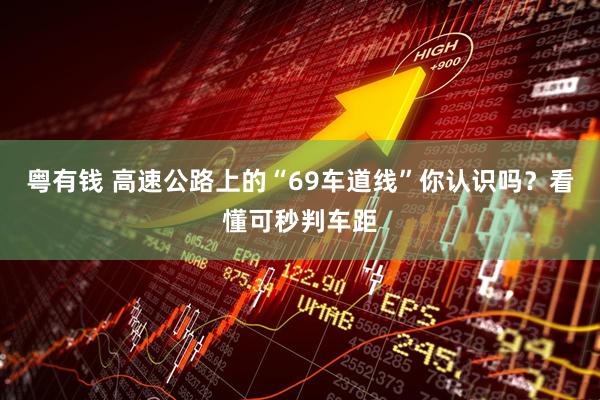 粤有钱 高速公路上的“69车道线”你认识吗？看懂可秒判车距